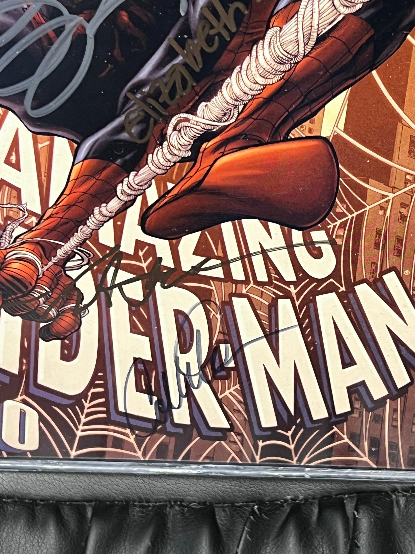 Amazing Spider-Man #600 - Variant - Singed 6X