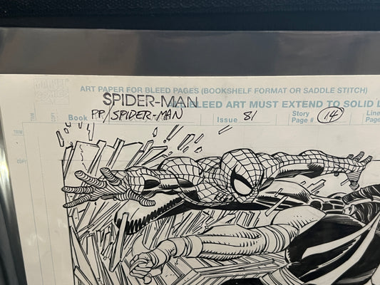 Original Comic Art - Signed by John Romitta, Jr. and Scott Hanna- Peter Parker, the Spectacular Spider-Man #81, page 14