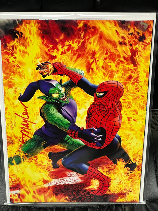 Amazing Spider-Man #850 - Mayhew Virgin Variant - Signed by Mike Mayhew