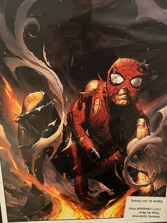 Art Print (11 x 17)- Amazing Spider-Man - Signed by Jim Cheung