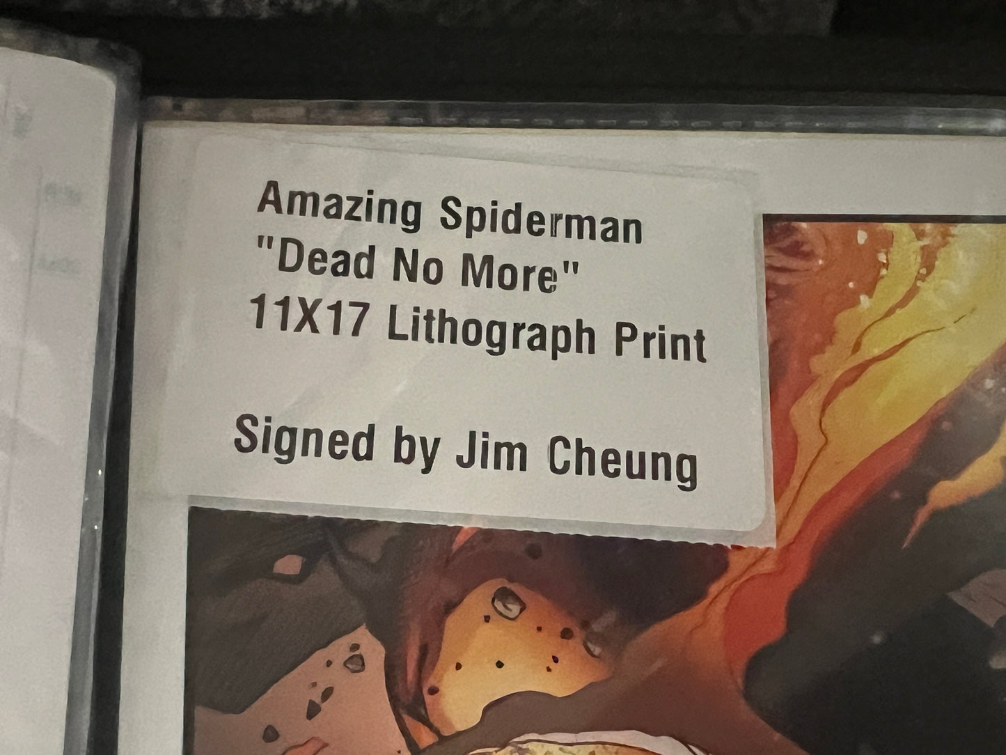 Art Print (11 x 17)- Amazing Spider-Man - Signed by Jim Cheung
